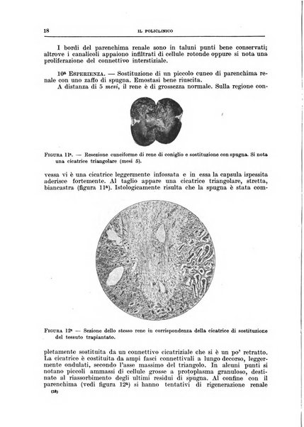 Il policlinico. Sezione chirurgica organo della Società italiana di chirurgia