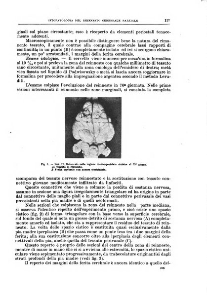 Il policlinico. Sezione chirurgica organo della Società italiana di chirurgia