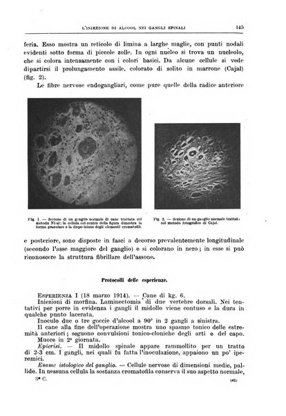 Il policlinico. Sezione chirurgica organo della Società italiana di chirurgia