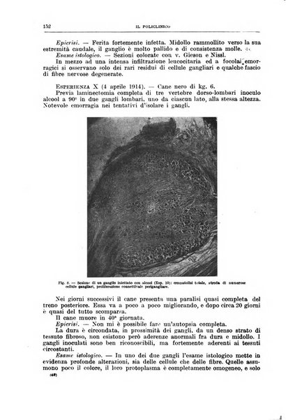 Il policlinico. Sezione chirurgica organo della Società italiana di chirurgia