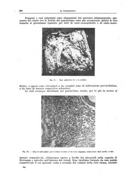 Il policlinico. Sezione chirurgica organo della Società italiana di chirurgia