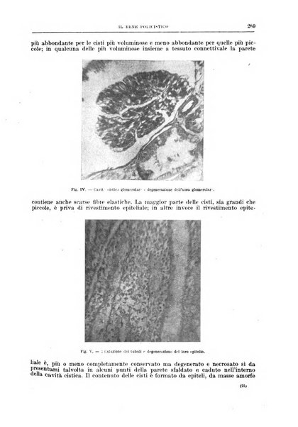 Il policlinico. Sezione chirurgica organo della Società italiana di chirurgia