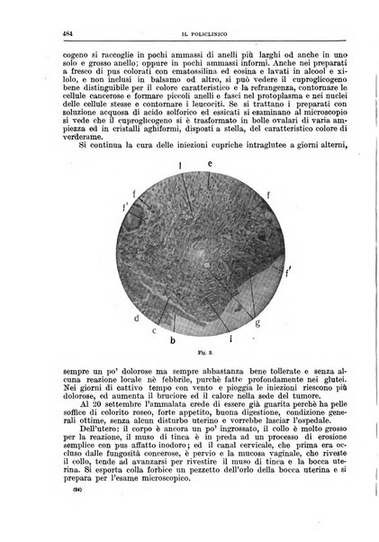 Il policlinico. Sezione chirurgica organo della Società italiana di chirurgia