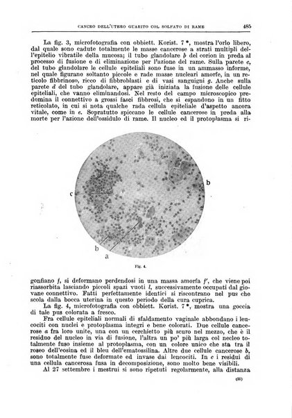 Il policlinico. Sezione chirurgica organo della Società italiana di chirurgia