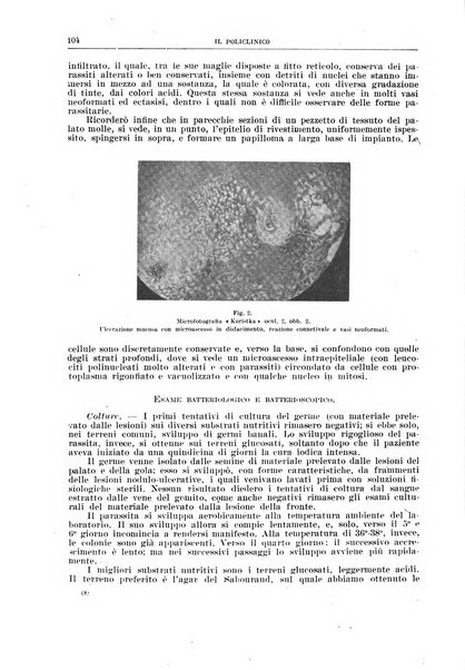 Il policlinico. Sezione chirurgica organo della Società italiana di chirurgia