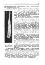 giornale/CFI0397638/1917/unico/00000129