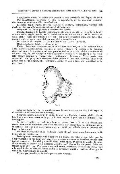 Il policlinico. Sezione chirurgica organo della Società italiana di chirurgia