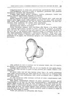 giornale/CFI0397638/1917/unico/00000213