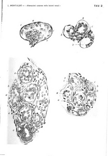 Il policlinico. Sezione chirurgica organo della Società italiana di chirurgia