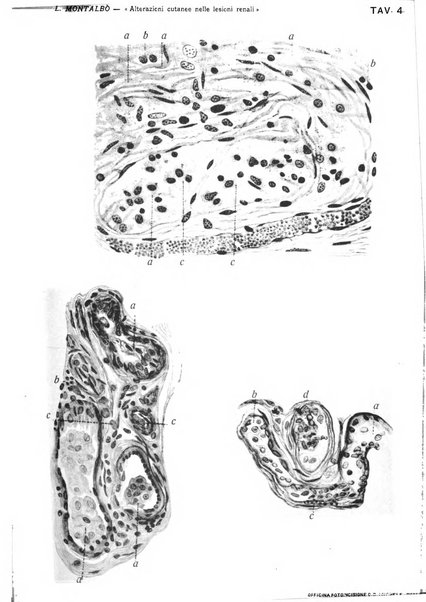 Il policlinico. Sezione chirurgica organo della Società italiana di chirurgia