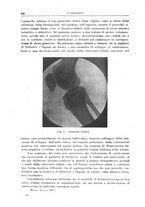 giornale/CFI0397638/1917/unico/00000350