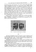 giornale/CFI0397638/1917/unico/00000373