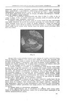 giornale/CFI0397638/1917/unico/00000395