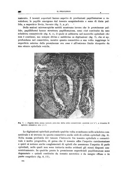 Il policlinico. Sezione chirurgica organo della Società italiana di chirurgia