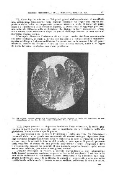 Il policlinico. Sezione chirurgica organo della Società italiana di chirurgia