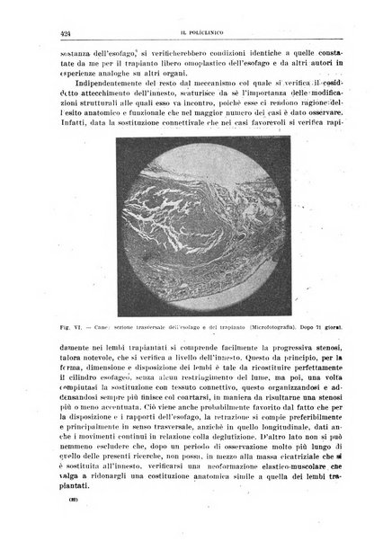 Il policlinico. Sezione chirurgica organo della Società italiana di chirurgia