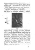 giornale/CFI0397638/1918/unico/00000031