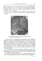 giornale/CFI0397638/1918/unico/00000109