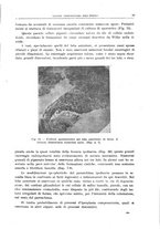 giornale/CFI0397638/1918/unico/00000111