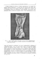 giornale/CFI0397638/1919/unico/00000011
