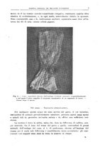 giornale/CFI0397638/1919/unico/00000013