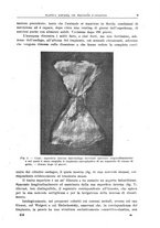 giornale/CFI0397638/1919/unico/00000015