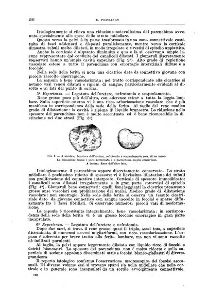 Il policlinico. Sezione chirurgica organo della Società italiana di chirurgia