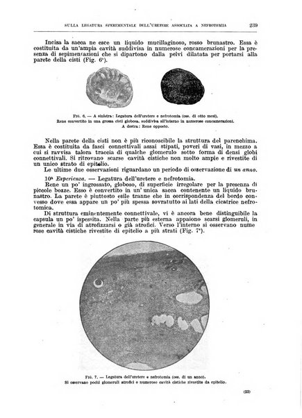 Il policlinico. Sezione chirurgica organo della Società italiana di chirurgia