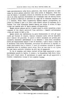 giornale/CFI0397638/1919/unico/00000369