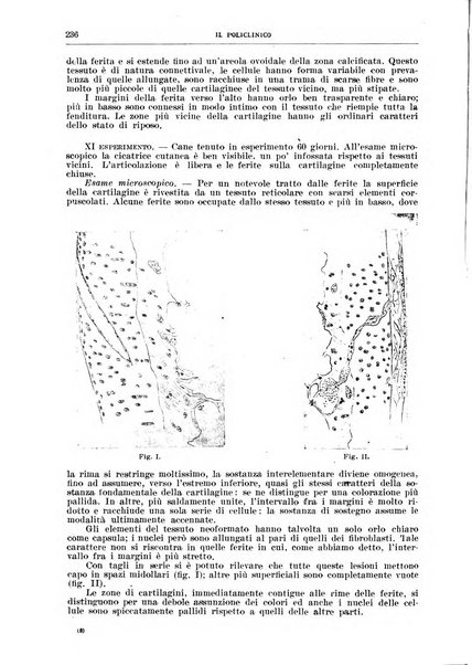 Il policlinico. Sezione chirurgica organo della Società italiana di chirurgia