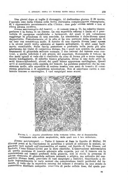 Il policlinico. Sezione chirurgica organo della Società italiana di chirurgia