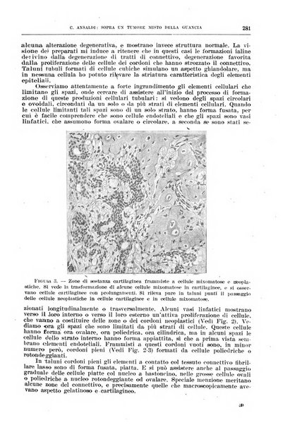 Il policlinico. Sezione chirurgica organo della Società italiana di chirurgia