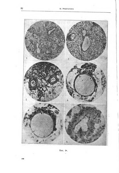 Il policlinico. Sezione chirurgica organo della Società italiana di chirurgia