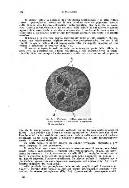 Il policlinico. Sezione chirurgica organo della Società italiana di chirurgia