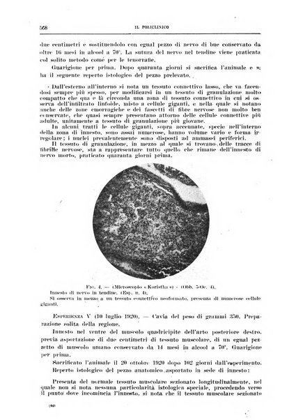 Il policlinico. Sezione chirurgica organo della Società italiana di chirurgia