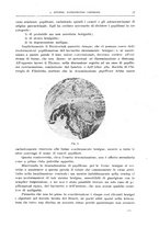 giornale/CFI0397638/1924/unico/00000023
