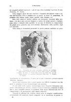 giornale/CFI0397638/1924/unico/00000250