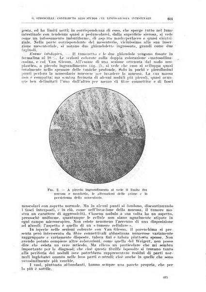 Il policlinico. Sezione chirurgica organo della Società italiana di chirurgia