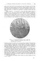 giornale/CFI0397638/1924/unico/00000645