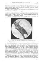 giornale/CFI0397638/1924/unico/00000693