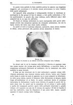 giornale/CFI0397638/1925/unico/00000388