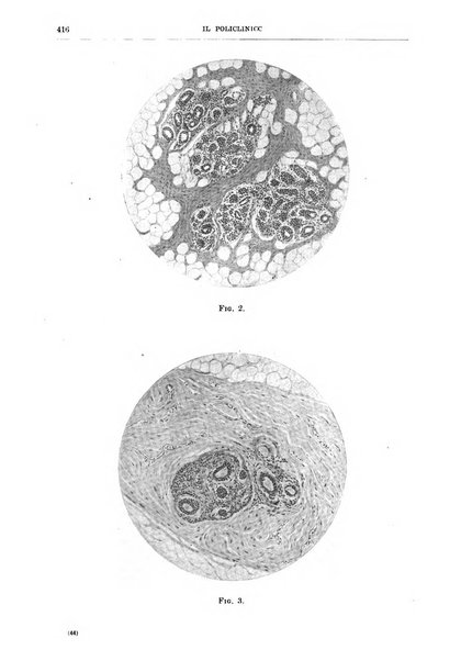 Il policlinico. Sezione chirurgica organo della Società italiana di chirurgia