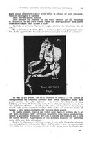 giornale/CFI0397638/1926/unico/00000121