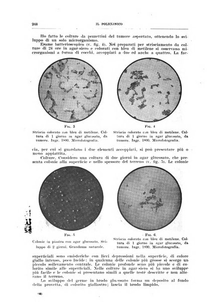 Il policlinico. Sezione chirurgica organo della Società italiana di chirurgia