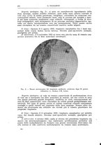 giornale/CFI0397638/1926/unico/00000550