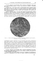 giornale/CFI0397638/1926/unico/00000551