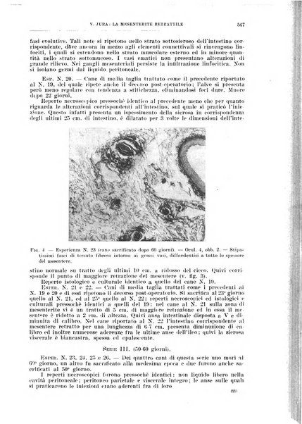 Il policlinico. Sezione chirurgica organo della Società italiana di chirurgia