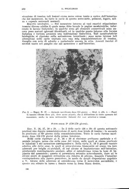 Il policlinico. Sezione chirurgica organo della Società italiana di chirurgia