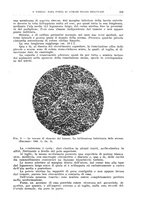 giornale/CFI0397638/1929/unico/00000235