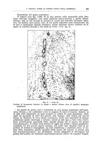 Il policlinico. Sezione chirurgica organo della Società italiana di chirurgia